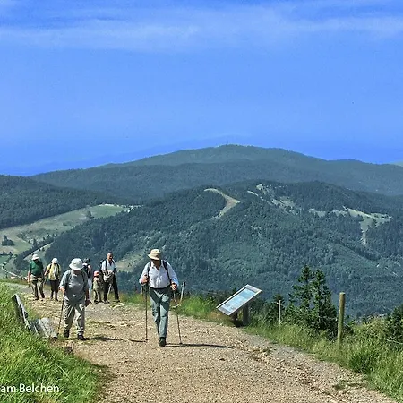 Ascona Отель Бад-Кроцинген