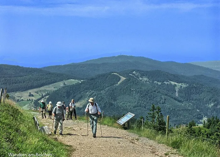 Ascona Отель Бад-Кроцинген