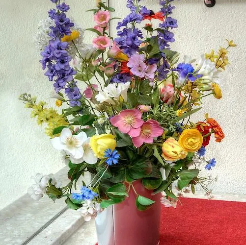 酒店 阿斯科纳酒店 巴特克罗青根